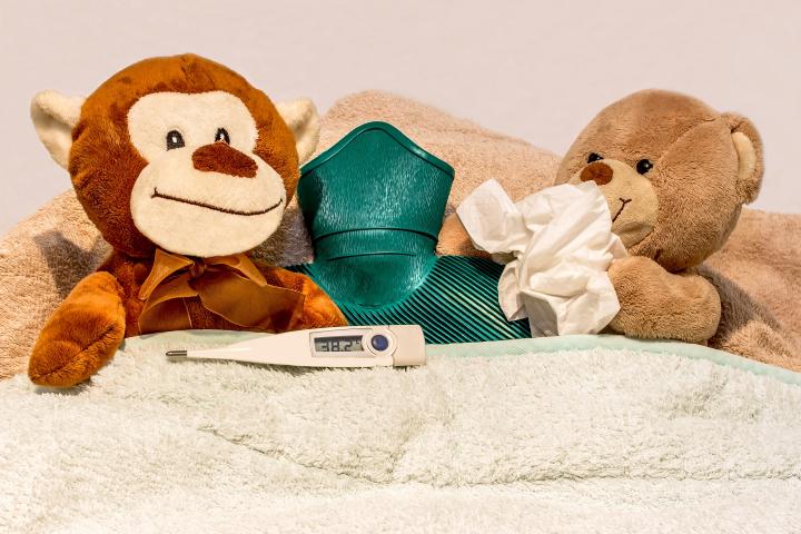 Photograph of a toy monkey and a toy teddy bear in a bed, the teddies are surrounded by blankets, a hot water bottle, tissues and a thermometer
