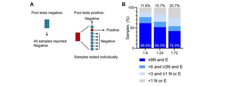 Figure 2. SARS-CoV-2 positive samples identified by TestEd study from saliva of asymptomatic participants demonstrate reduction in sensitivity when pooling samples 1:8, 1:24, and 1:72. 