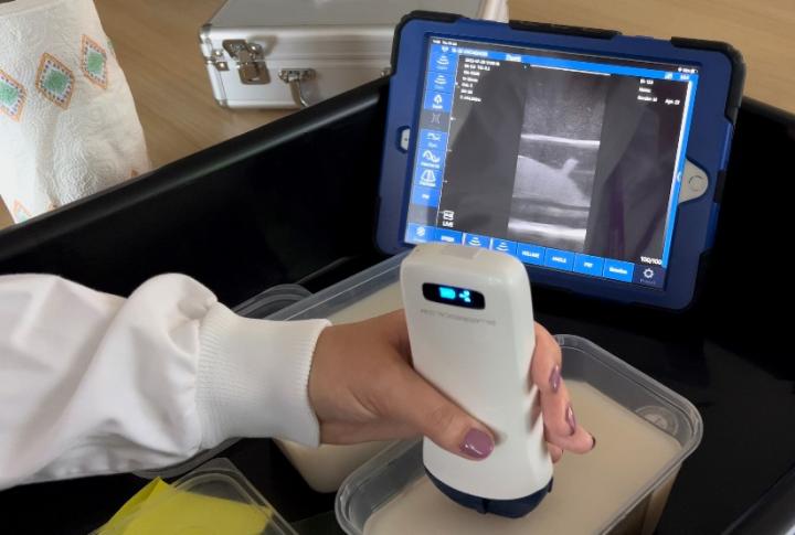 Triin Õunapuu demonstrating ultrasound