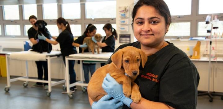 veterinary student holding puppy 