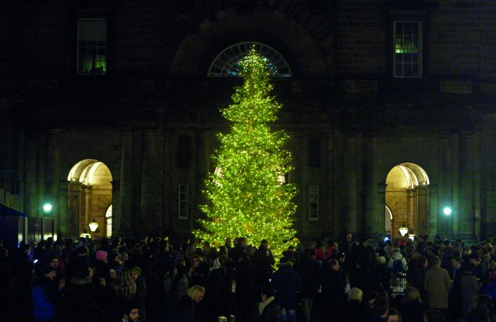 Christmas tree lit up in Old College quad