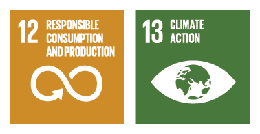 SDG 12 and SDG 13 (Responsible Consumption and Production, and Climate Action)