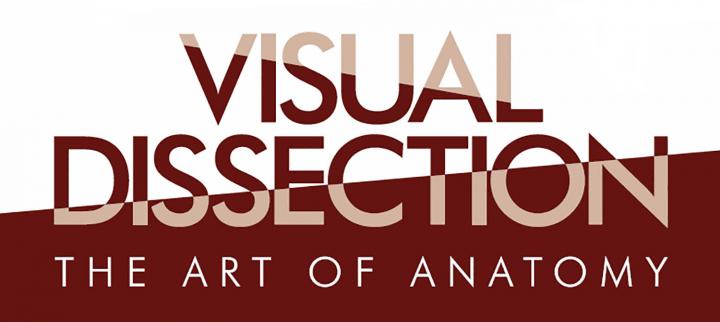 Logo for Visual Dissection exhibition