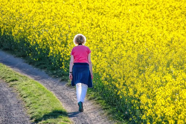 Photograph of a woman walking away from the camera along a path. Next to her is a field full of tall yellow flowers.