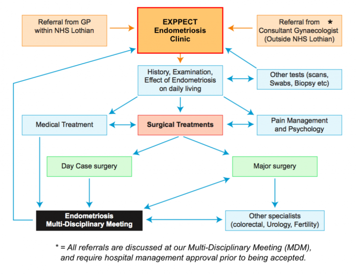A flowchart depicting patient journeys from referral, to clinic appointment, to management.