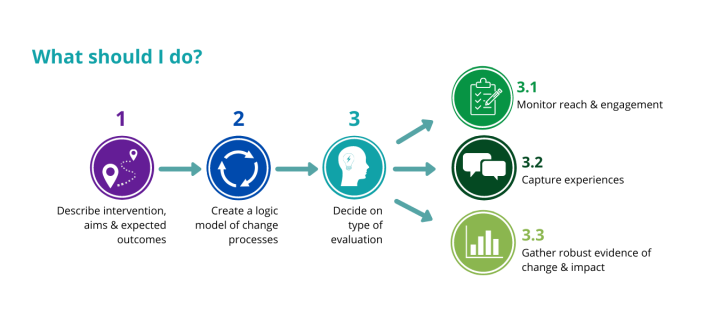 Diagram outlining steps in the evaluation process
