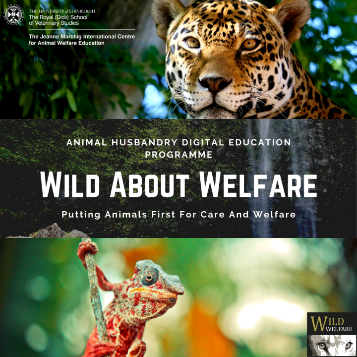 Wild Welfare | The University of Edinburgh