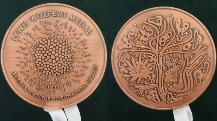 The Wolpert Medal's design includes various different model organisms.