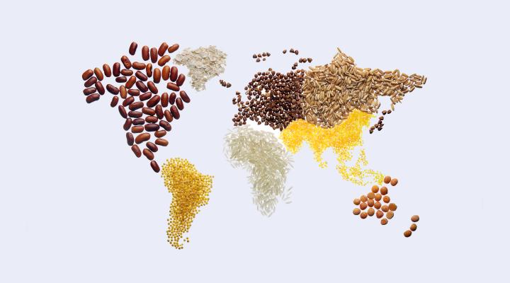 Food world map