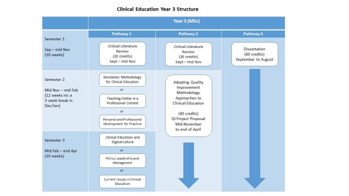 Image of the Clinical Education Year 3 Diagram 2022-23
