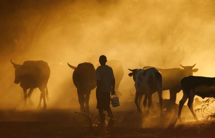 Young pastoralist tends his herd in Ethopia