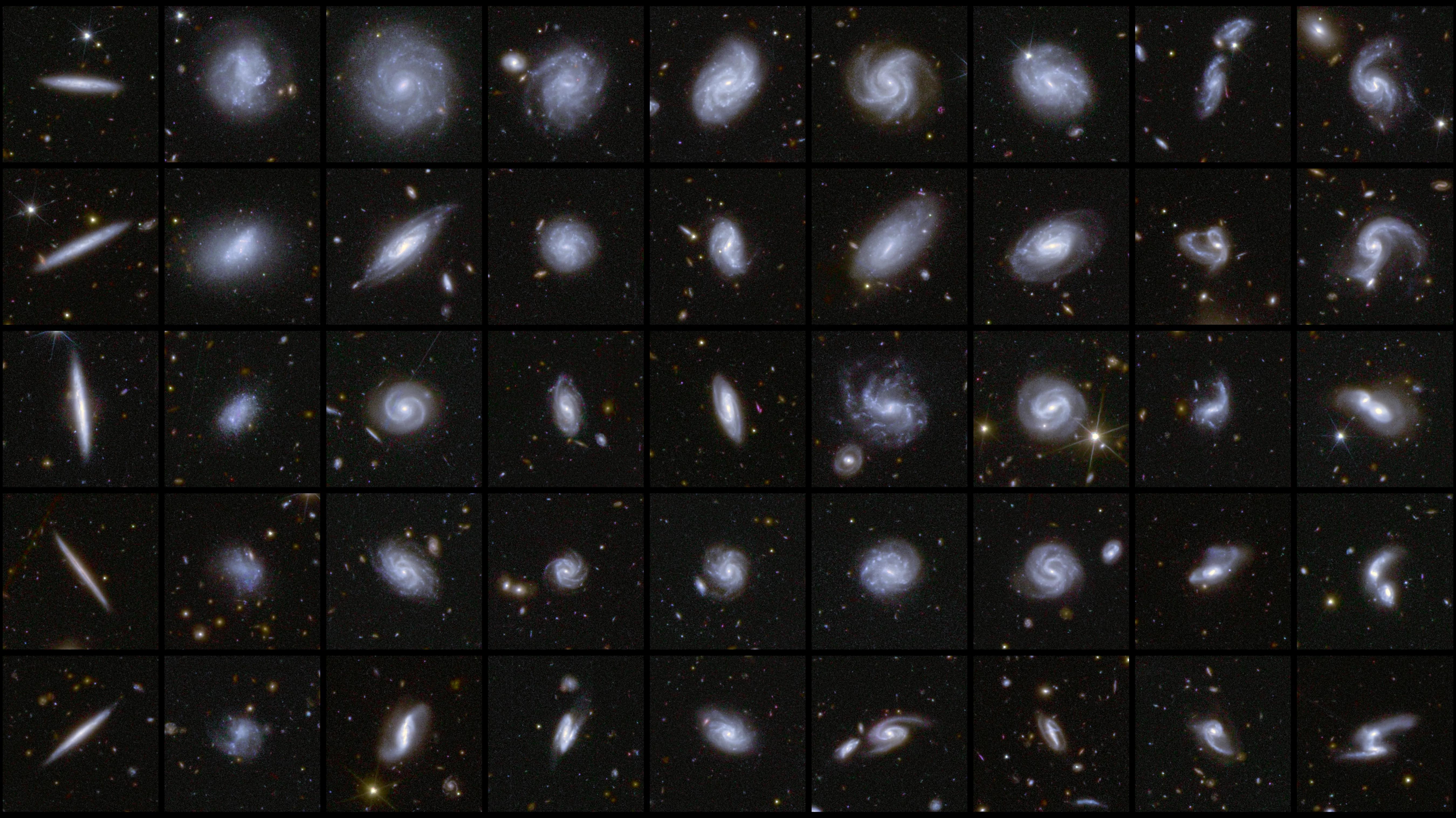 Examples of galaxies of different shapes captured by the Euclid satellite