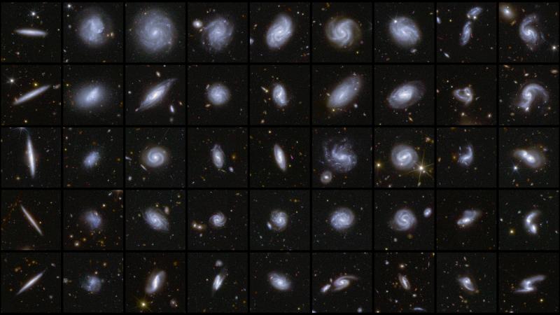 Examples of galaxies of different shapes captured by the Euclid satellite