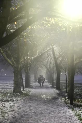 A couple embrace to look at a camera screen on a frosty path surrounded by trees