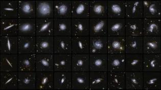 Examples of galaxies of different shapes captured by the Euclid satellite