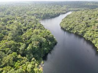 Aerial shot of rainforest in north-eastern Brazil, with a river running through it