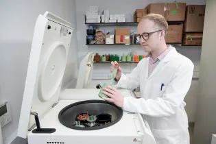 Professor Stephen Wallace harvesting engineered bacteria for analysis