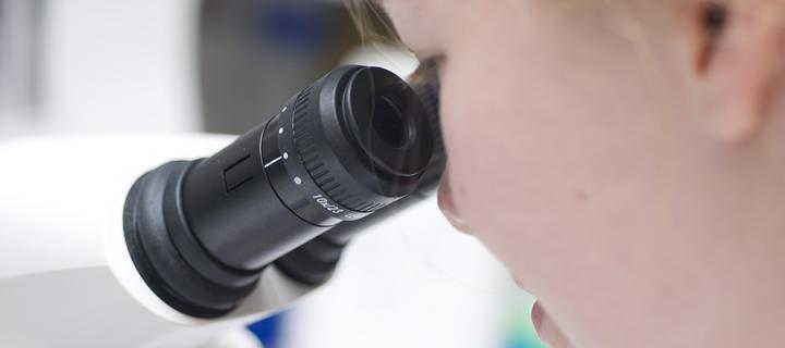 Student looking through a microscope