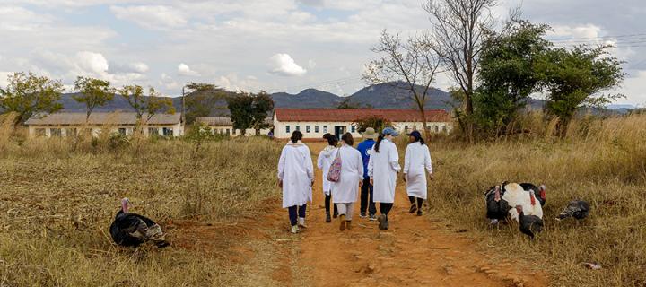 Four researchers, in lab coats walk on track towards buildings in Zimbabwe village