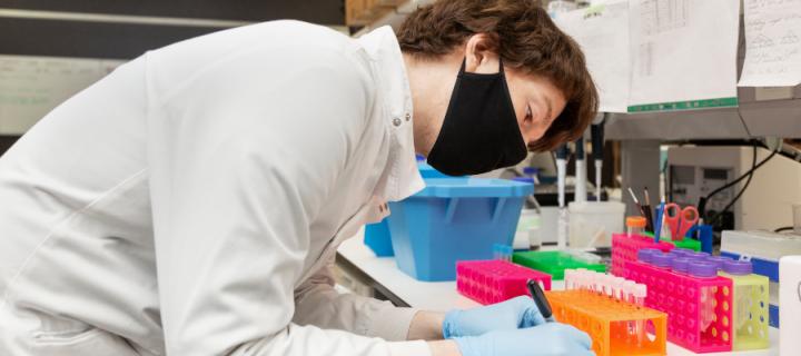 PhD student working in the laboratory