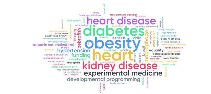 Word cloud of words related to research at the centre for cardiovascular science