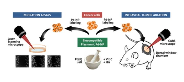 palladium nanoparticles