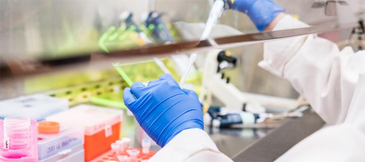 lab worker pipettes in fume hood