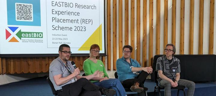 Four people seated in front of a screen present at a Research Experience Placement workshop