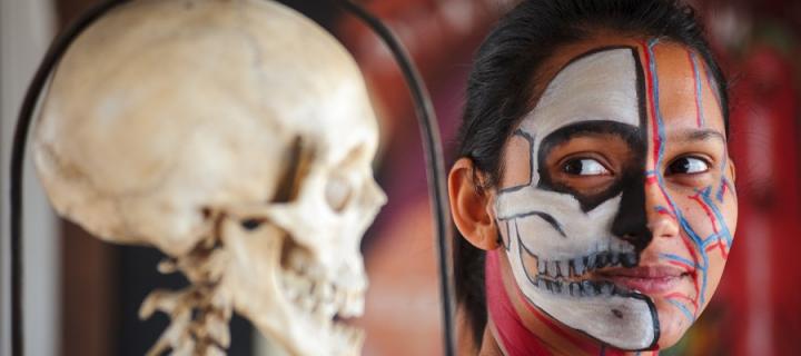 A girl's painted face next to a skull shows the anatomy of the human skull