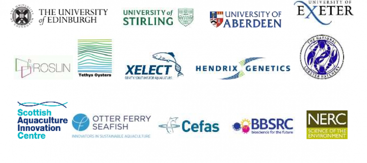 The project brings together partners from both the academic and industry spheres.