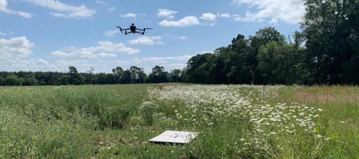 A Mavic 3M drone above a wildflower margin