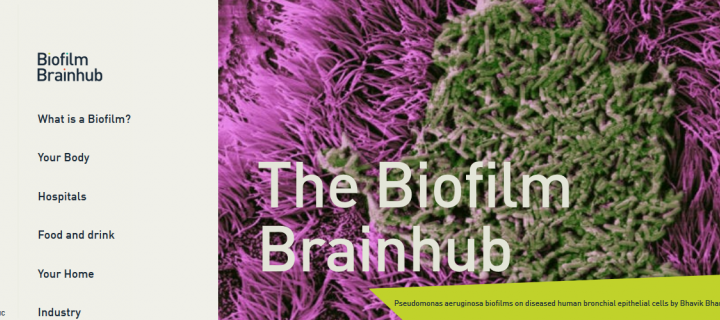 Screenshot of homepage of the Biofilm Brainhub website