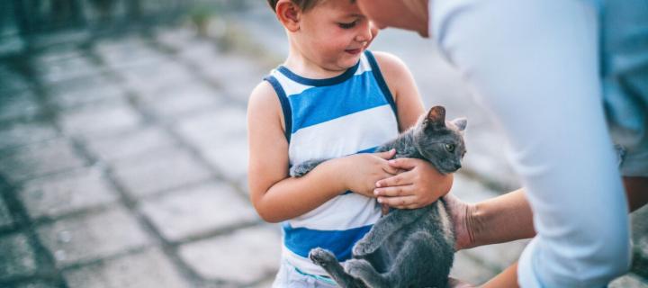 Boy holding cat with adult helping