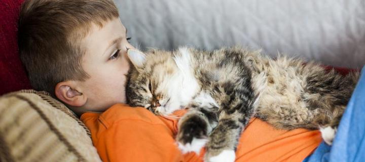 boy lying on the sofa with a cat lying on top of him
