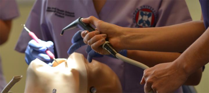 dental students close up of hands working with practice dummy