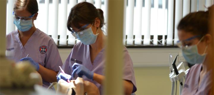 3 Dental students use practice dental dummies