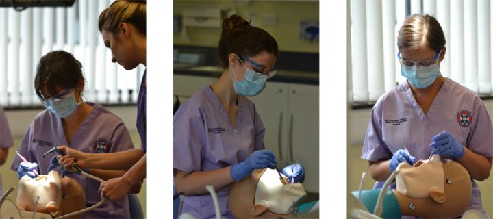 3 separate images of dental students working with practice dummies
