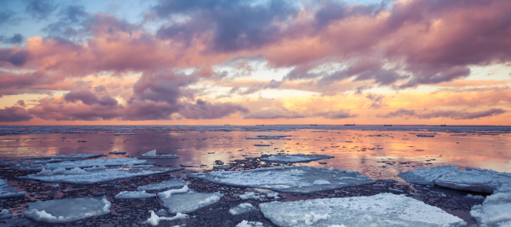Fragments of floating ice from an ice floe in the ocean with a colourful sunset behind