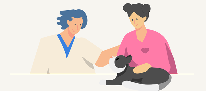 Illustration of a student and vet examining a cat