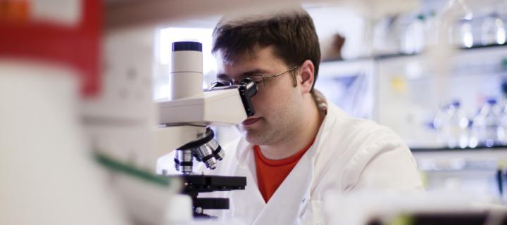 Researcher looking through microscope