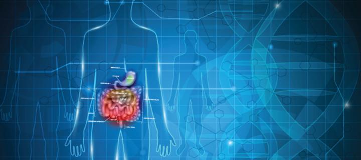 Crohn’s and colitis study probes relapse triggers