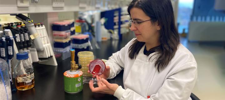 Dr Joana Alves in the lab