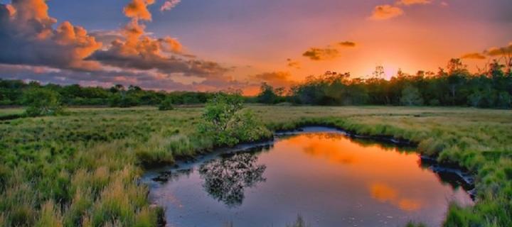 Image of a orange sunset, over a pond and marshland. In the background is woodland. 