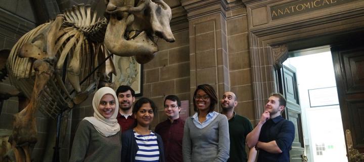 Biomedical students stand by the elephant skeletons