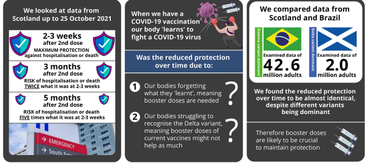 Infographic summarising key findings that protection from COVID-19 vaccine  wanes after about 3 months