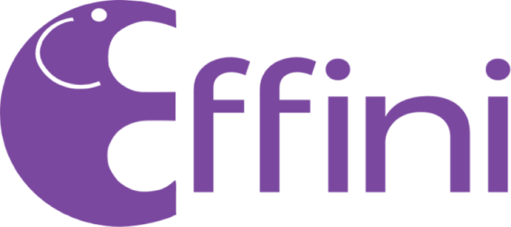 Effini Logo