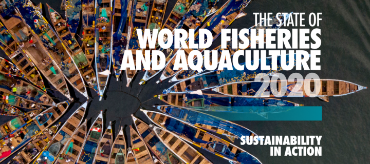The 2020 cover for United Nations' report on global fisheries and aquaculture emphasises its focus on sustainability. 