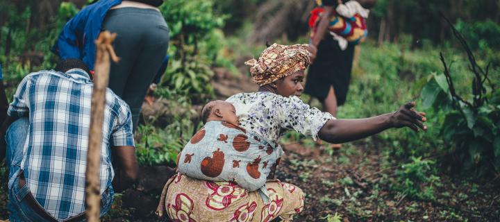 Workers, some with babies strapped to their backs, farming cassava in Sierra Leone.