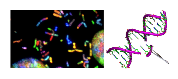 Figure showing artistic impression of gene editing 