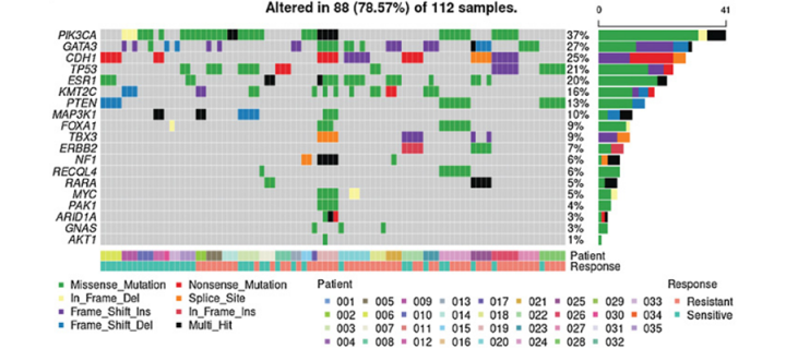 Genomic characteristics of some of the samples analysed in the study.